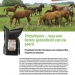 leaflet paarden NL