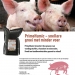 leaflet varkens NL