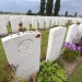 reisfotografie flanders fields-7