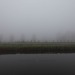 fotografie mist-3032