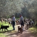 reisfotografie portugal-sinke-20