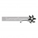 Huisstijl Grafische vormgeving logo summer flowers