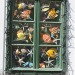reisfotografie wenen-5238