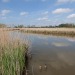 Natuurfotografie zeeland-voorjaar-9639