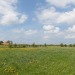 Natuurfotografie zeeland-voorjaar-9653